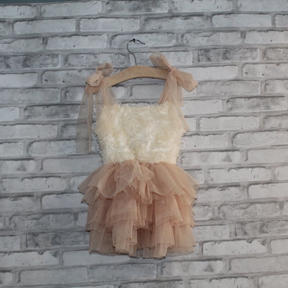 Toddler Girl Darling TULLE Photograph Dress 2-4T